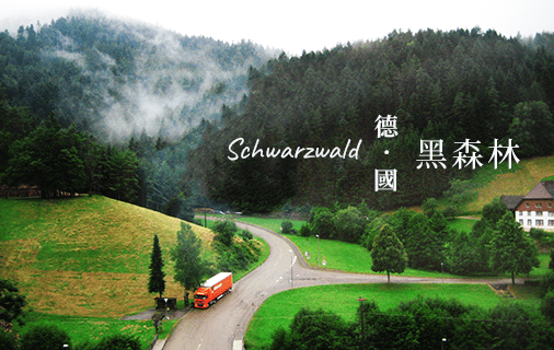 Read more about the article 德國。3。Schwarzwald 黑森林大冒險
