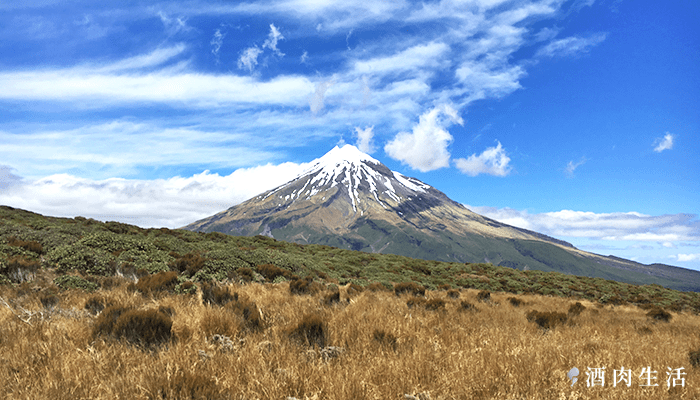 北北酒肉生活-紐西蘭新普利茅斯小富士山-31