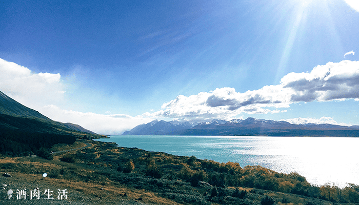 北北酒肉生活-紐西蘭NZ-普卡基湖Lake-Pukaki-鮭魚-10