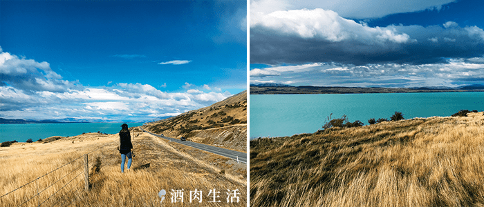 北北酒肉生活-紐西蘭NZ-普卡基湖Lake-Pukaki-鮭魚-11