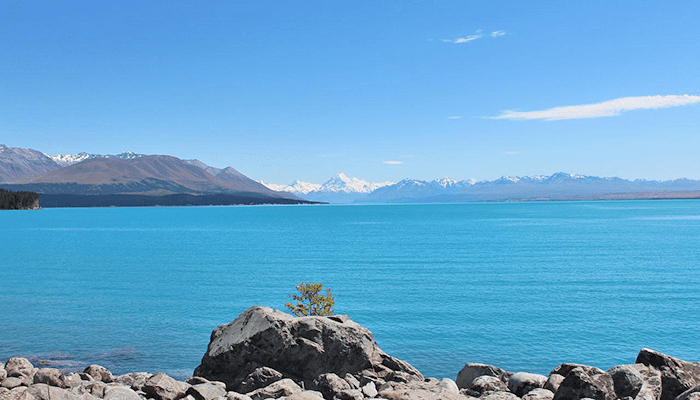 北北酒肉生活-紐西蘭NZ-普卡基湖Lake-Pukaki-鮭魚-3