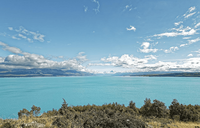 北北酒肉生活-紐西蘭NZ-普卡基湖Lake-Pukaki-鮭魚-30