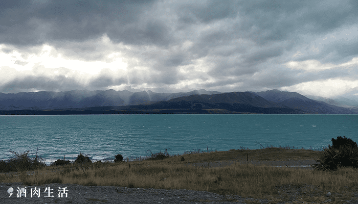 北北酒肉生活-紐西蘭NZ-普卡基湖Lake-Pukaki-鮭魚-7